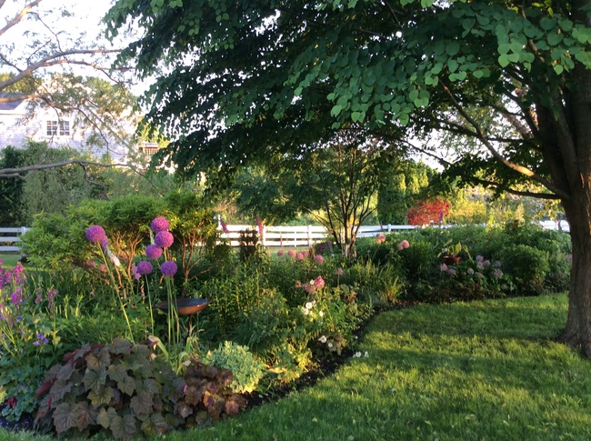 Goguen-Conzett Garden